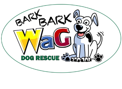 Bark adoption cheap